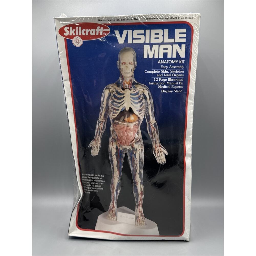 Vintage Skilcraft Visible Man Anatomy Model Kit (40155) Sealed Box Damage